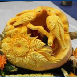 Junior show 2014 a Melounový šampionát v Třebíči