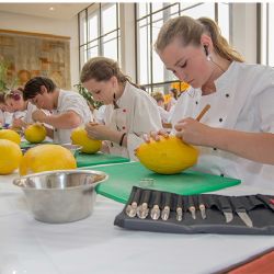 Junior show 2015 a Melounový  šampionát v Třebíči