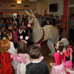 Kamarádi v Jaroměřicích