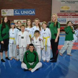 Kameničtí taekwondisté brali v Praze sedm medailí