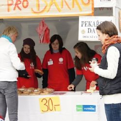 Koláč pro domácí hospicovou péči Bárka pošesté v Jihlavě