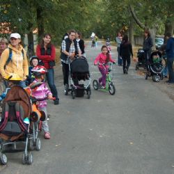 Kolečka v Lipkách v Telči