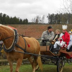 Koledníci na Žďársku vyrážejí do ulic rozdávat radost
