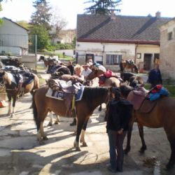 Koně prošli Jaroměřicemi nad Rokytnou a směřovali do Rakouska