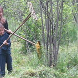Kosení rašelinné loučky na Mrzatci