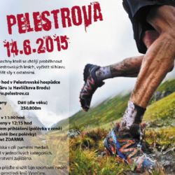 Král Pelestrova v neděli