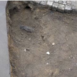 Kvůli potkanům se v Třebíči propadal chodník