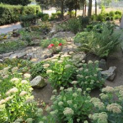 Letošní květinová soutěž v Třebíči má vítěze