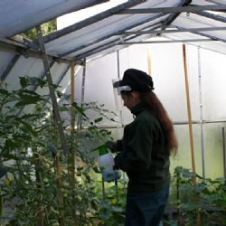 Malá řemesla PLUS: Klademe velký důraz na praxi