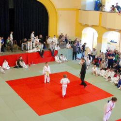 Medaile pro třebíčské judisty ze Žďáru