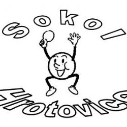 Memoriál Davida Janouška v Hrotovicích už po osmnácté