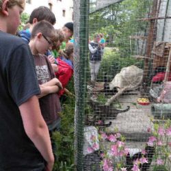 Měřínští žáci navštívili svoje zvířecí kamarády v třebíčském útulku