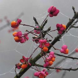 Milan Slavinger vyrazil S fotoaparátem za humny