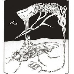 Mouchy a surrealismus v jihlavském muzeu