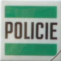 Muž v Dolní Rožínce po pádu z výšky zemřel