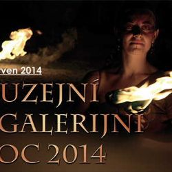 Muzejní a galerijní noc 2014 v Jihlavě