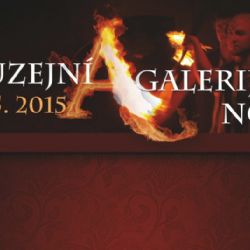 Muzejní a galerijní noc 2015