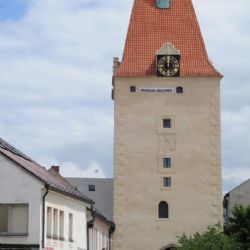 Muzeum rekordů a kuriozit Pelhřimov slaví dvacetiny