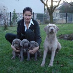 Myslivost není na Vysočině jen koníčkem mužů