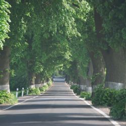 Na Alej roku 2015 aspirují na Vysočině čtyři adeptky