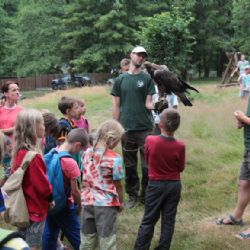 Na černé labutě a orly do Stanice v Pavlově