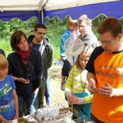 Na Jihlavsku vyrazili za žábami