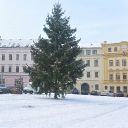Na Karlově náměstí v Třebíči už stojí vánoční strom