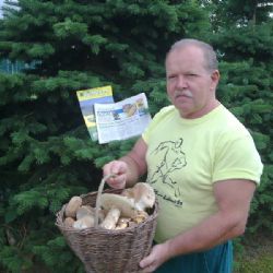 Na Třebíčsku rostou houby