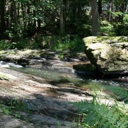 Na výlet údolím Doubravy