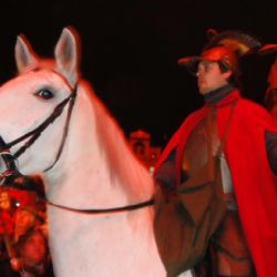 Na Vysočině oslaví svátek sv. Martina