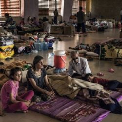 Nadační fond Generace 21: Překlad byl nepravdivý