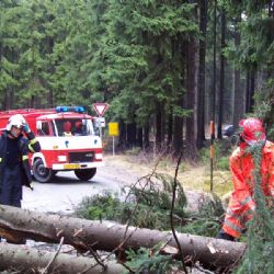Námraza na Vysočině láme stromy, hasiči musejí zasahovat