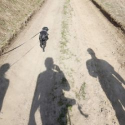 Neváhej a choď hlásí rekordní účast