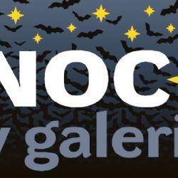 Noc v galerii v Brodě