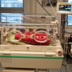 Novorozenci jihlavské nemocnice mají nové zázemí