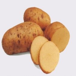 O bramborách opět v Borové