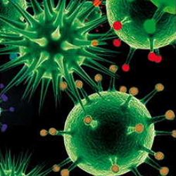 O nových infekčních nemocích v Jihlavě