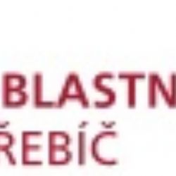 O roli prarodičů při výchově v Třebíči