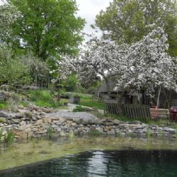 O úpravách zahrad v úterý v Jihlavě