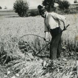 Pamětnická publikace již brzy spatří světlo světa