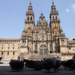 Patrik Kotrba v Brodě o cestě do Santiaga de Compostela