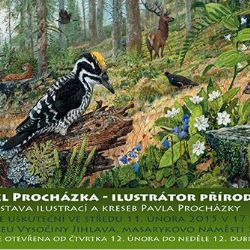 Pavel Procházka – ilustrátor přírody se představí v Jihlavě
