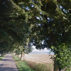 Plechovka pro alej pomůže na Jihlavsku