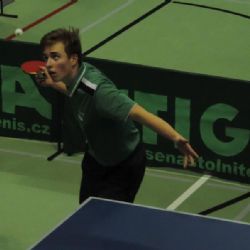 Pluhař a Karel ve dvouhrách bronzoví