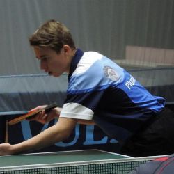 Pluhař v Jaroměři bronzový