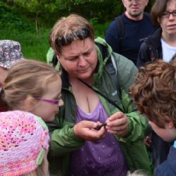 Po stopách divokých orchidejí a obojživelníků