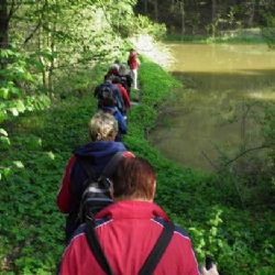 Po stopách stříbrné horečky v Pohledu