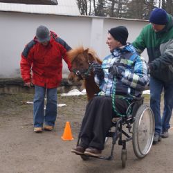 Podívej se kůň - hiporehabilitační workshopy v Jihlavě