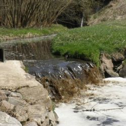 Pokuta 140 tisíc za úhyb ryb a vážné poškození potoka, říčky a dvou rybníků