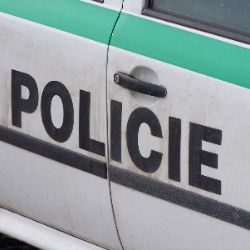 Policisté na Žďársku v sobotu hledali zraněnou ženu